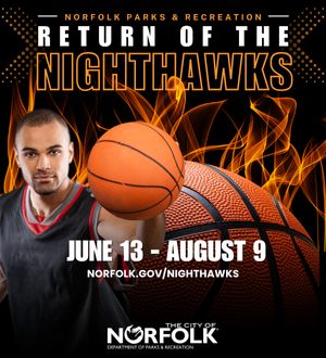 Nighthawks 2025_Web Spotlight