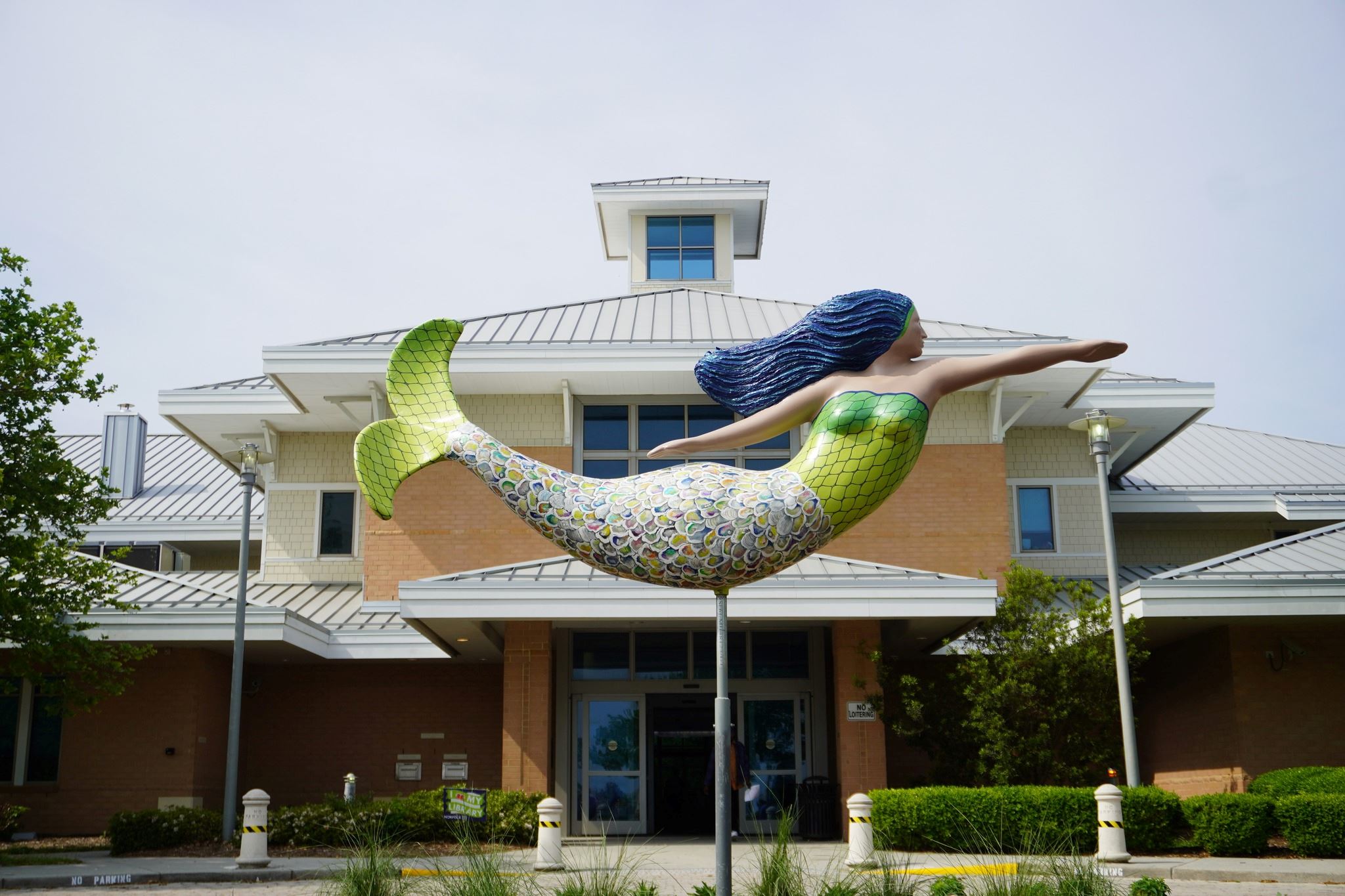 Mary D. Pretlow Anchor Branch Mermaid Image 