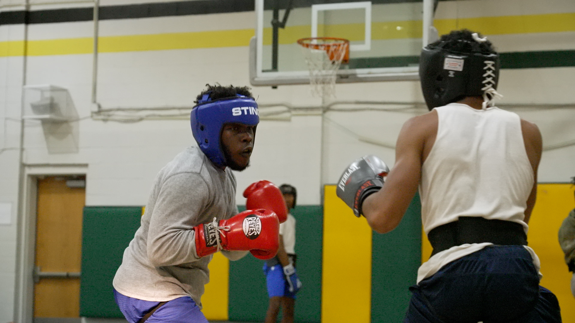 Norfolk Boxing Image
