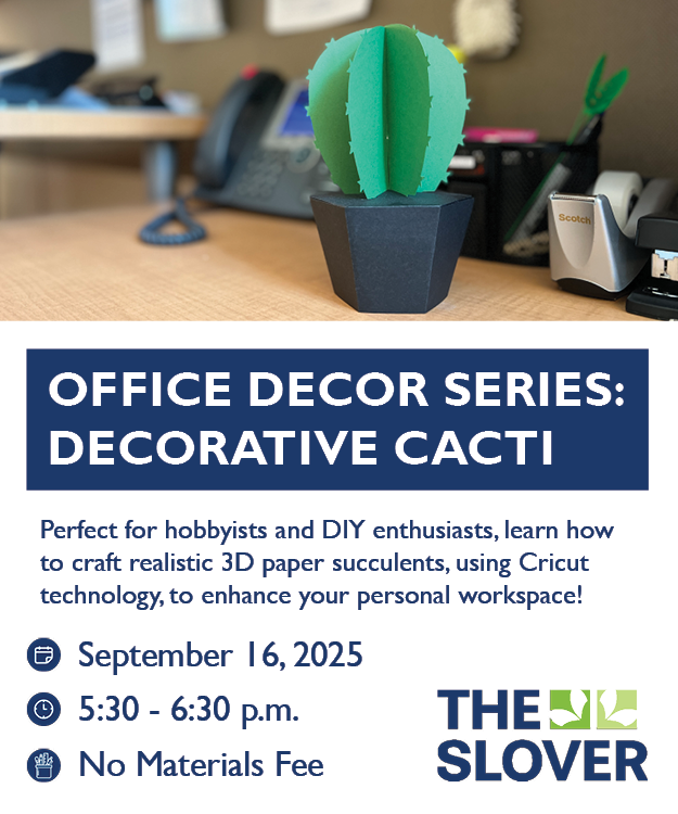 Decorative Cacti - Image