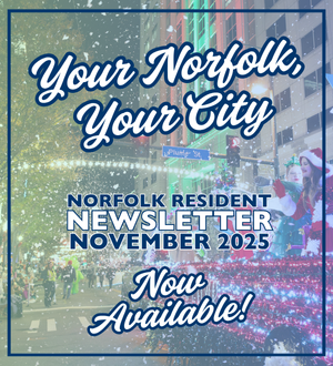 november newsletter spotlight image link