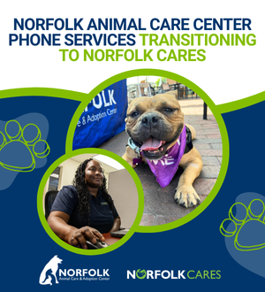 NACC Phone Transitions Spotlight Image Link