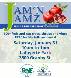 jamn jamz spotlight image link