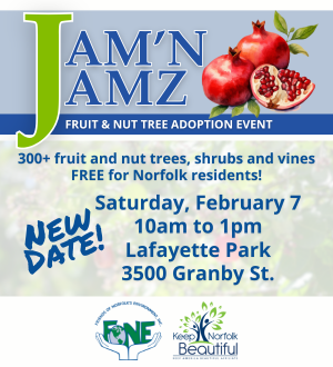 jamn jamz new date spotlight image link