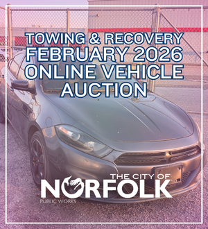 february 26 auction spotlight image link