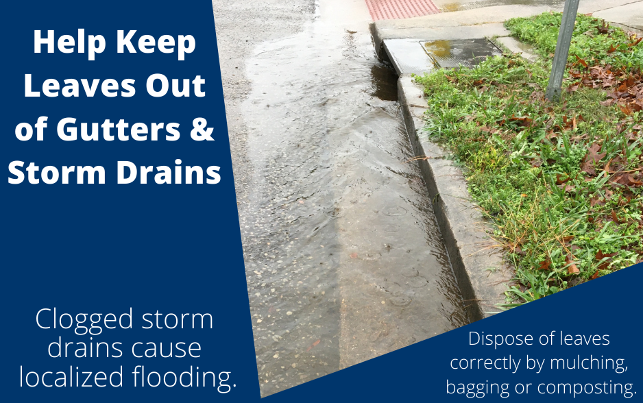 Only Rain Down the Drain Image 