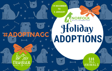 Spotlight corrected NACC Holiday adoption Special