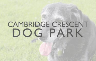 Cambridge Crescent Dog Park Image Link 