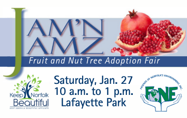 jamn jamz spotlight image link