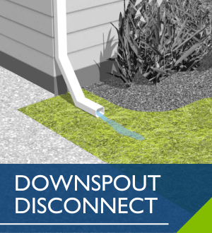 Downspout Disconnect Image Link