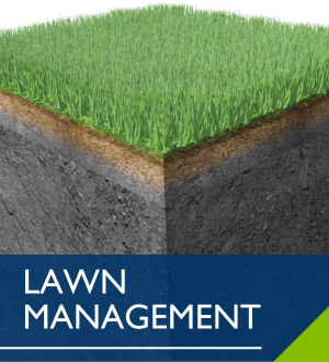 Lawn Management Image Link