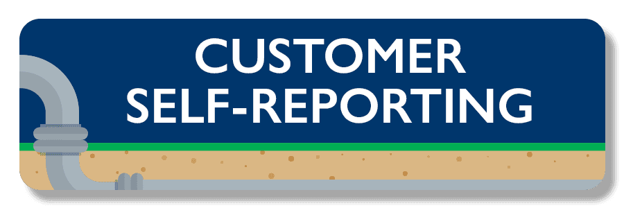 Self Reporting Survey Image Link