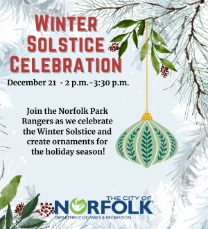 Winter Solstice Dec 2024_Web Spotlight