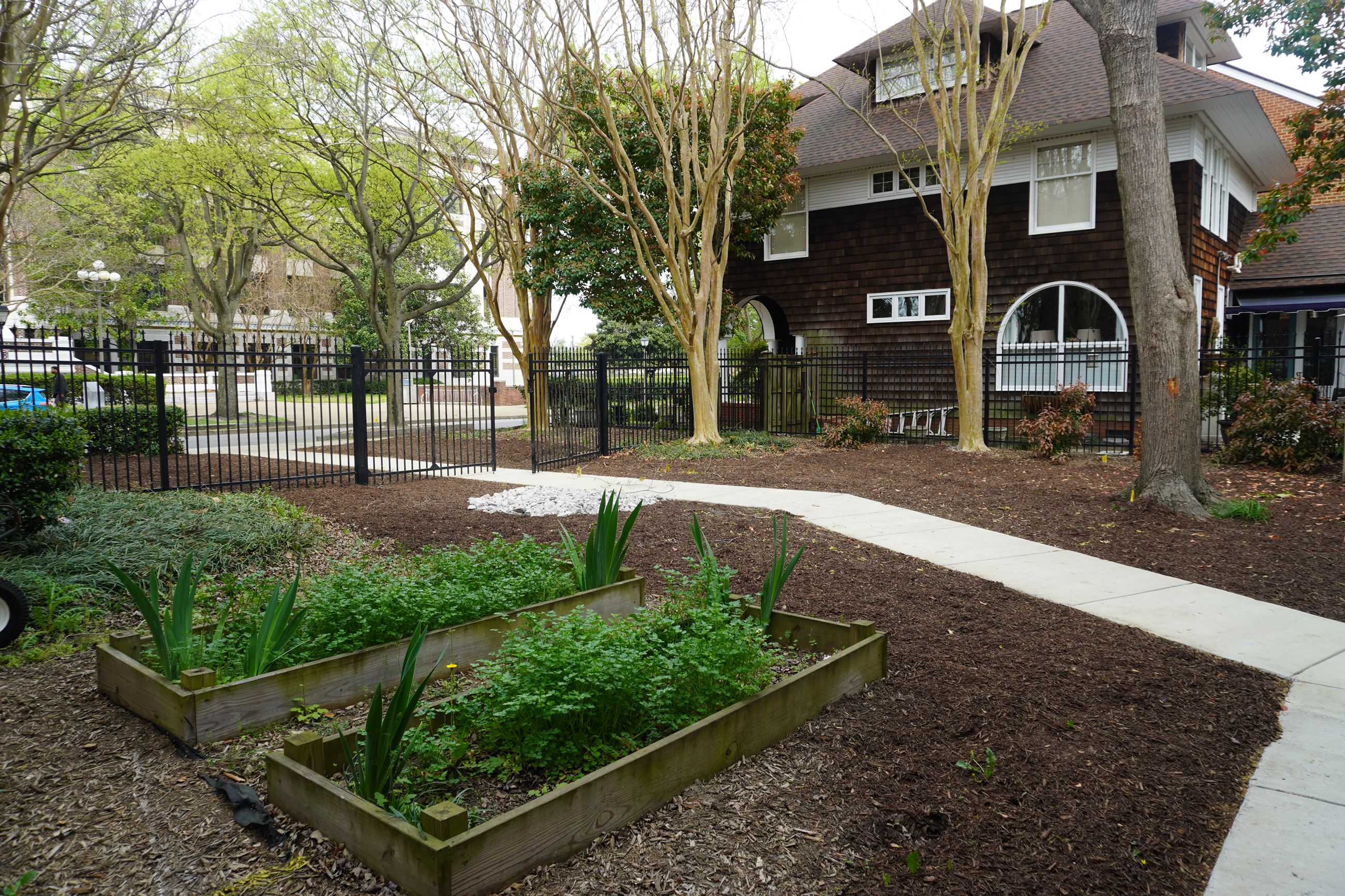 Photo of a fenced in backyard with a sidewalk and raised plants.