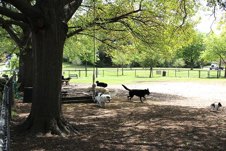 Colonial Greenway Dog Park Image