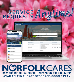 norfolk cares spring spotlight image link