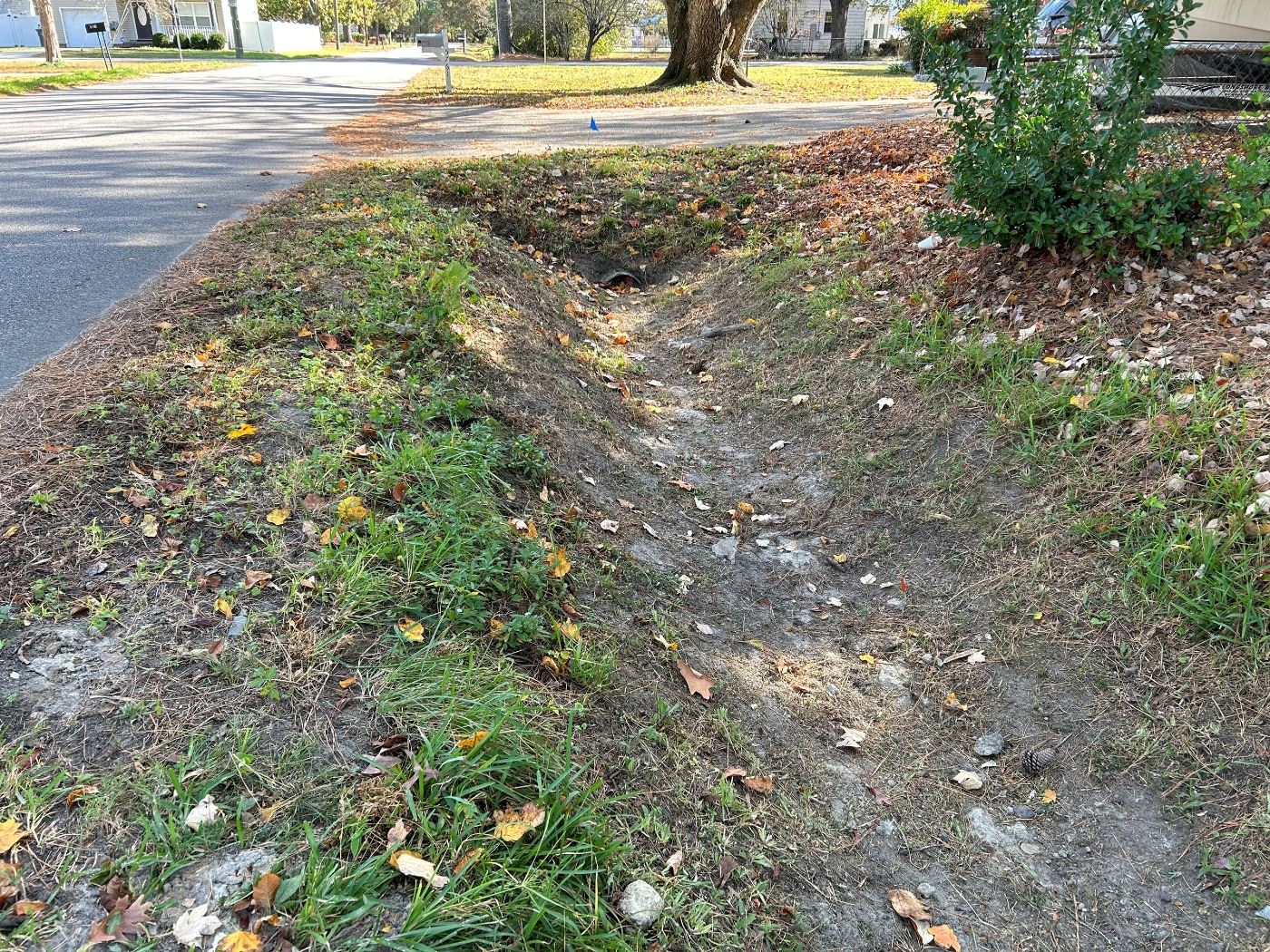 Picture of a roadside ditch