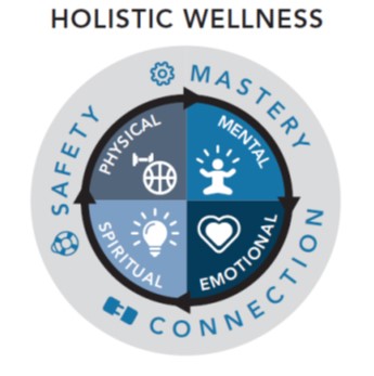 Holistic Wellness Diagram Image