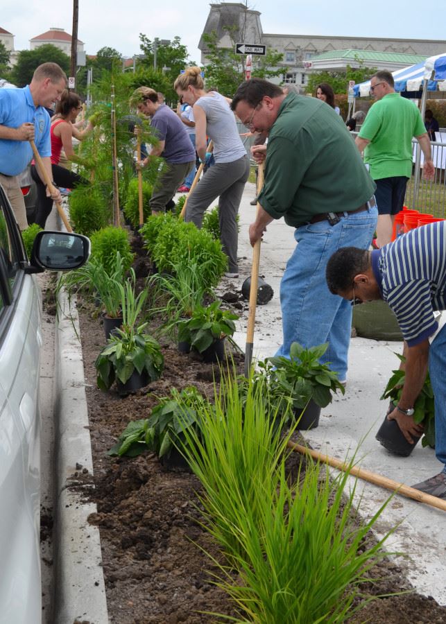 Rain Garden 