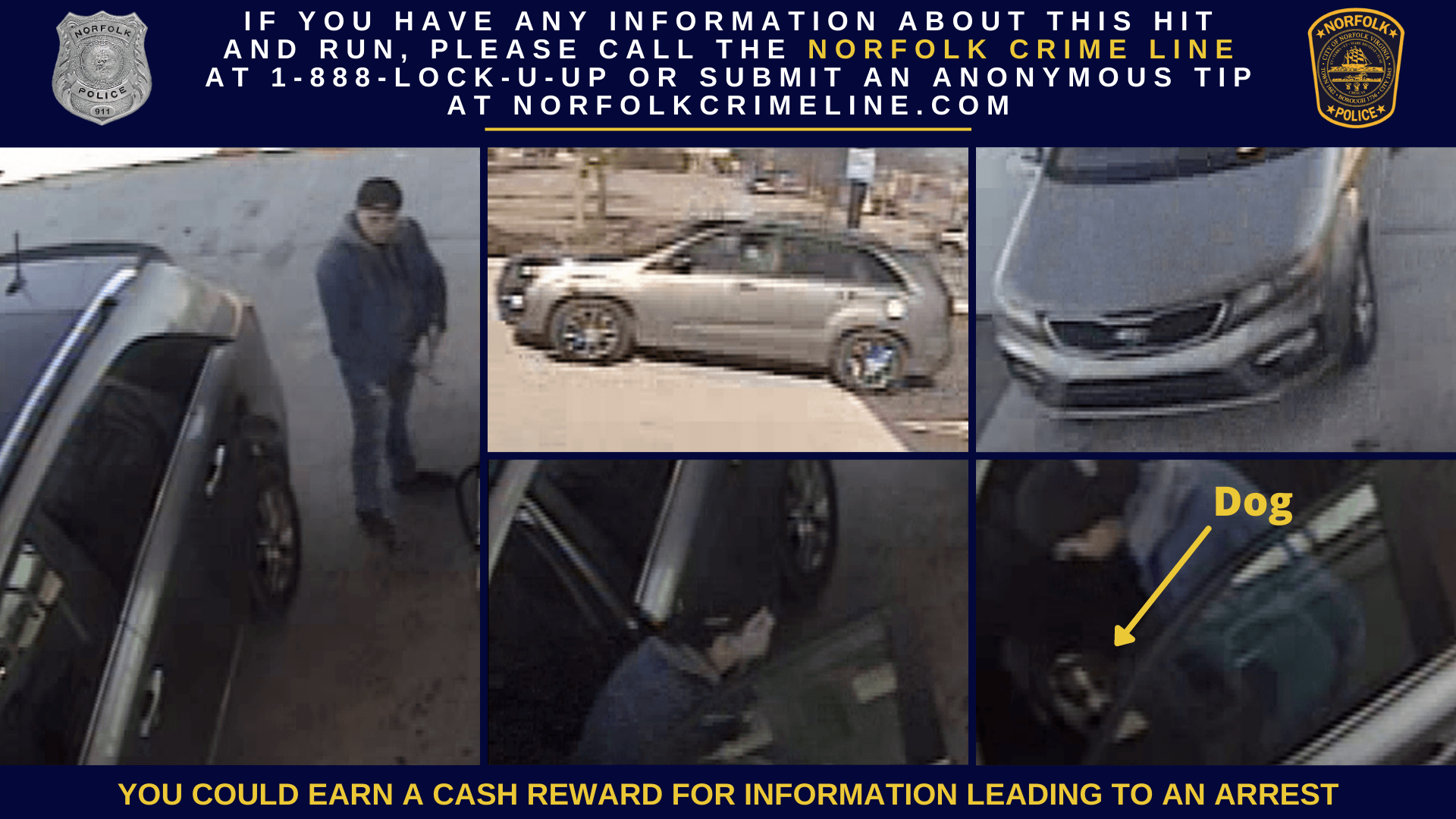 Hit and Run Suspect Photo
