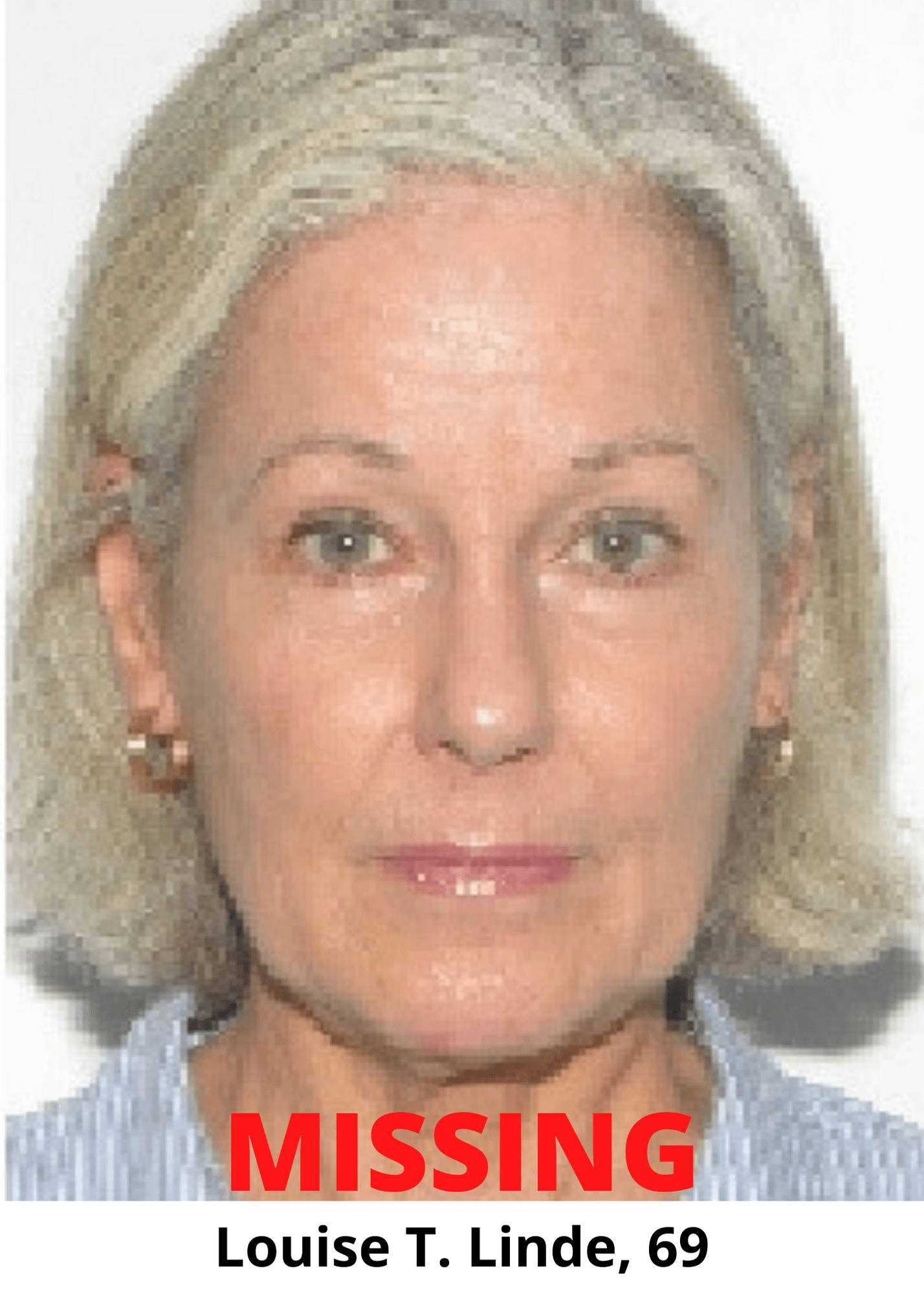 Missing - Louise T Linde