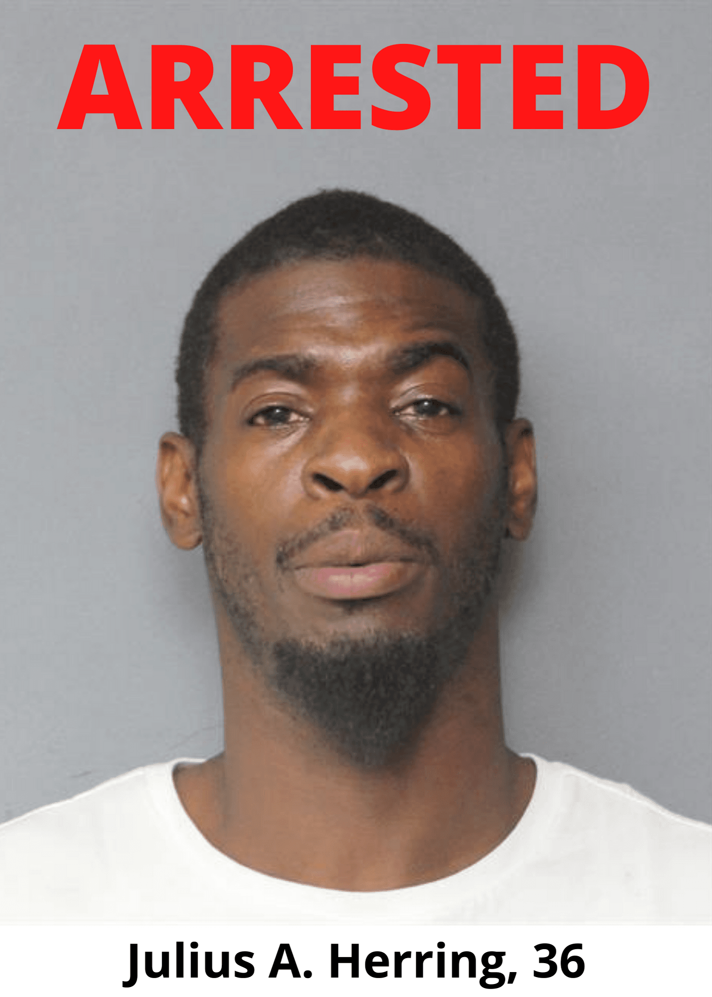 Arrest Photo - Julius Herring