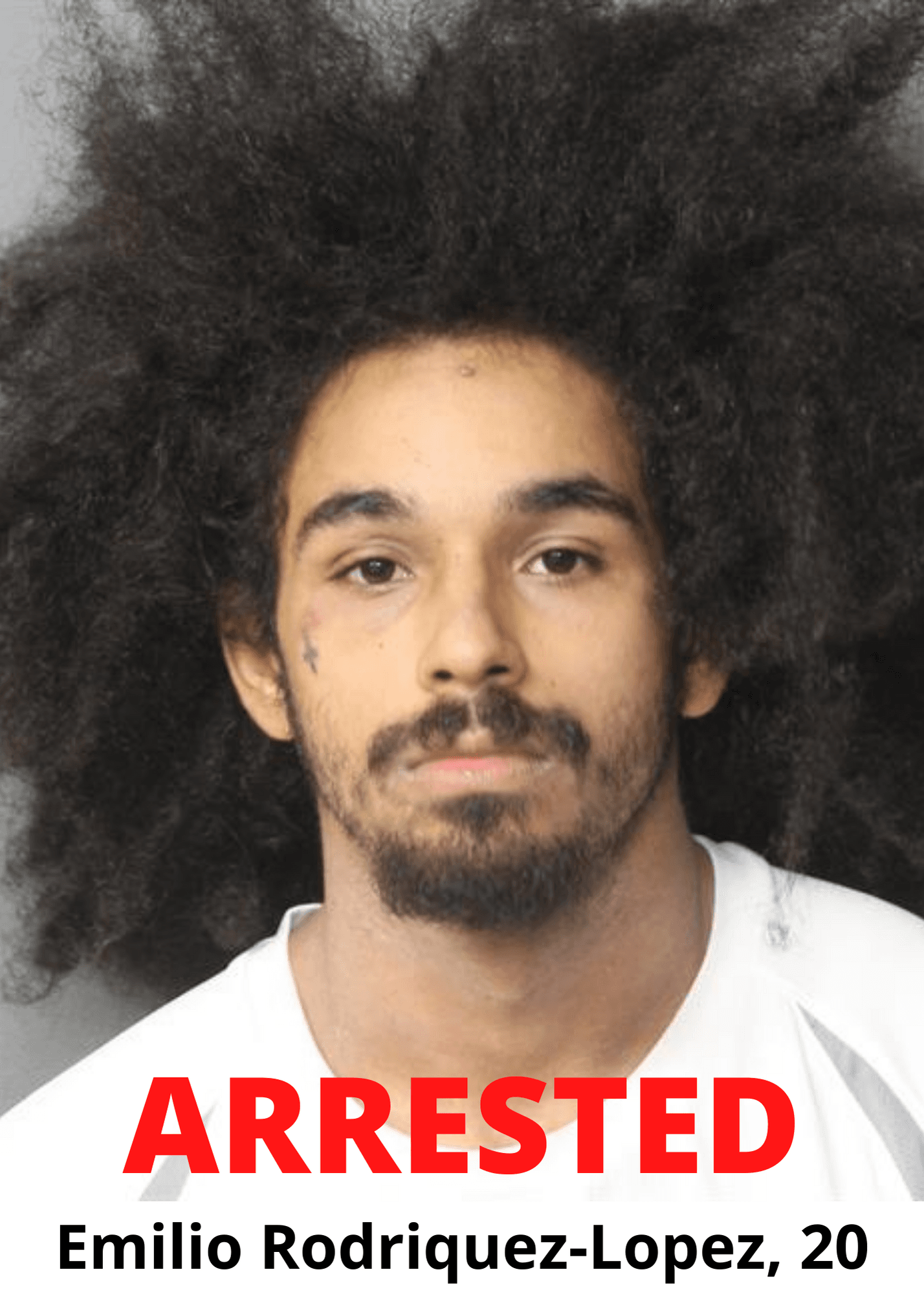 Arrest Photo - Emilio Rodriquez-Lopez