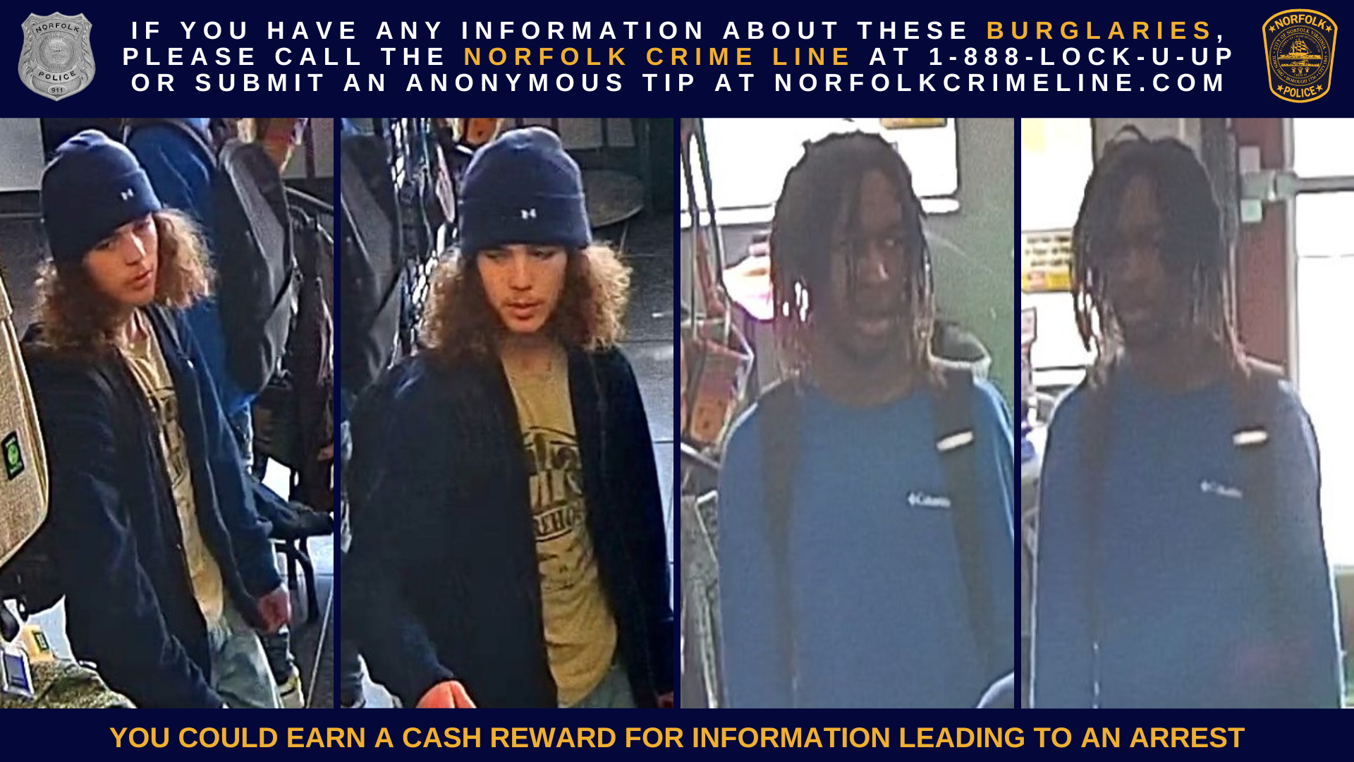 Pitbull Tobacco Burglary 021323