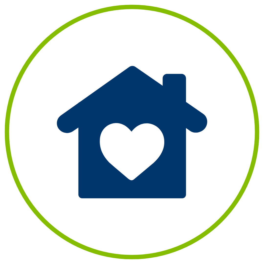 guiding principles icon image