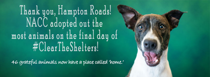 Norfolk Animal Care Center